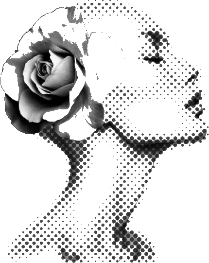Fine-line rose and profile tattoo by Grace